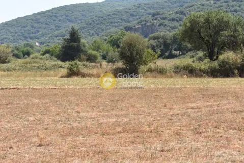 Professional Plot 8810m<sup>2</sup> for sale photo 6