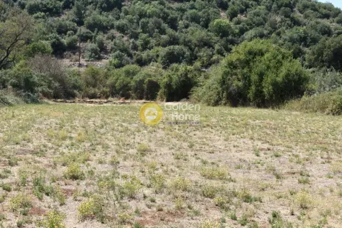Professional Plot 8810m<sup>2</sup> for sale photo 7