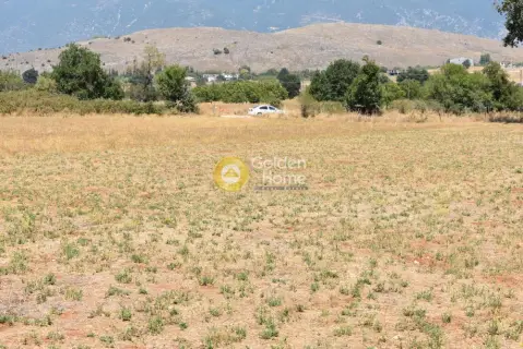 Professional Plot 8810m<sup>2</sup> for sale photo 3