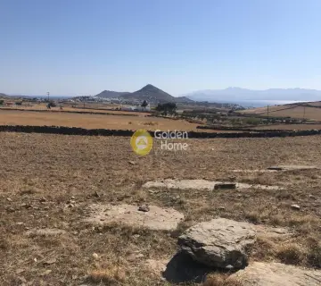 土地 8034m<sup>2</sup> for sale photo 2