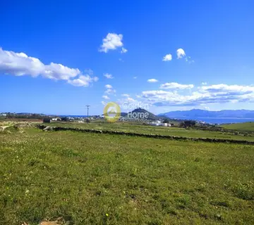土地 8034m<sup>2</sup> for sale photo 1