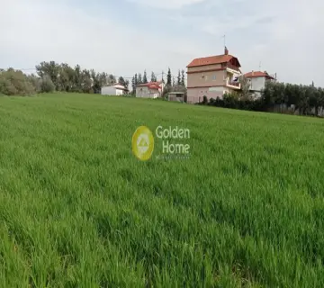 Golden Home Property Image