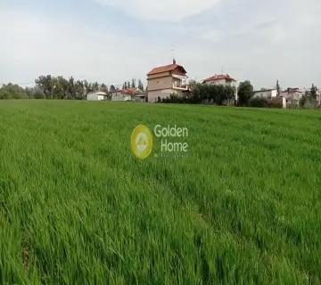 Golden Home Property Image