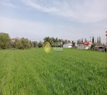 Golden Home Property Image