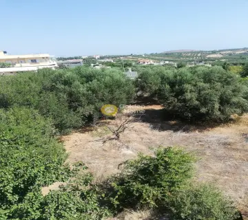 Residential 1150m<sup>2</sup> for sale photo 1