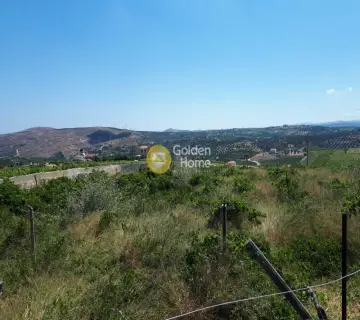 Residential 4800m<sup>2</sup> for sale photo 5