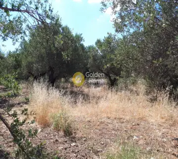 Parcel 1425m<sup>2</sup> for sale photo 4