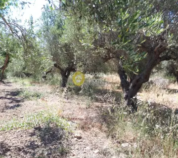 Parcel 1425m<sup>2</sup> for sale photo 5