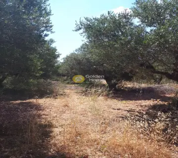 Parcel 1425m<sup>2</sup> for sale photo 9