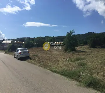 Professional Plot 12000m<sup>2</sup> for sale photo 4