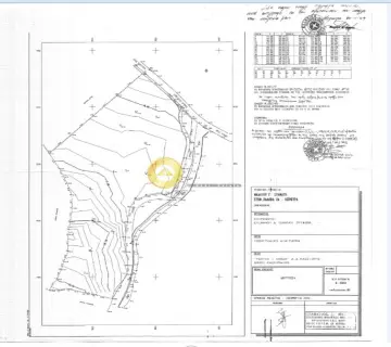 Professional Plot 12000m<sup>2</sup> for sale photo 5