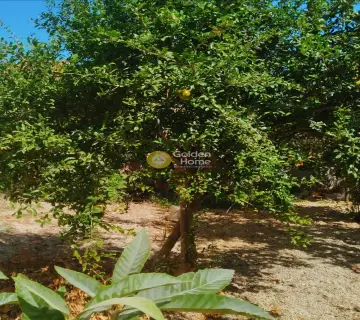 Residence complex 1000m<sup>2</sup> for sale photo 16