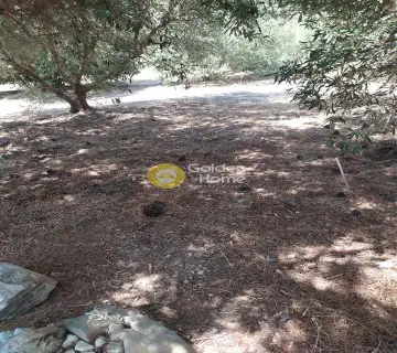 Residential 4000m<sup>2</sup> for sale photo 1