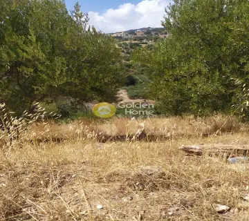 Residential 4000m<sup>2</sup> for sale photo 10