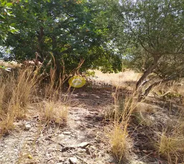 Residential 4000m<sup>2</sup> for sale photo 17
