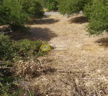 Residential 4000m<sup>2</sup> for sale photo 3