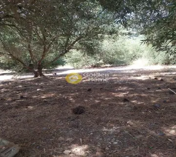 Residential 4000m<sup>2</sup> for sale photo 19