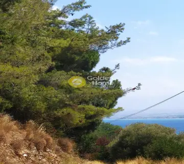 Residential 4000m<sup>2</sup> for sale photo 13