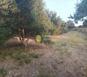 Residential 6036m<sup>2</sup> for sale photo 2751642
