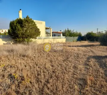 Residential 850m<sup>2</sup> for sale photo 3