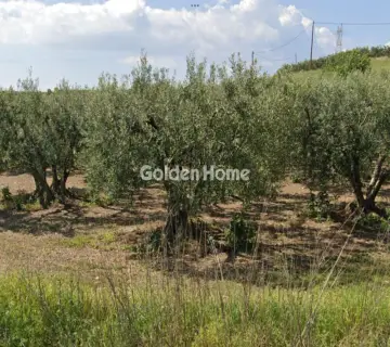 住宅 2102m<sup>2</sup> for sale photo 4978783