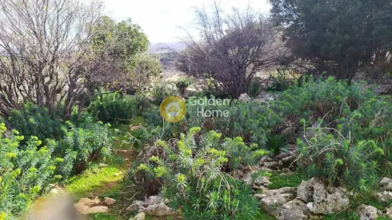 Residential 1271m<sup>2</sup> for sale photo 2754355