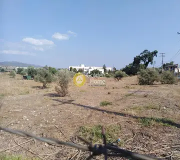 Residential 3329m<sup>2</sup> for sale photo 2754526