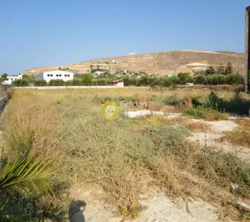 Αυτόνομο Κτίριο 12500τ.μ. προς πώληση φωτογραφία 7