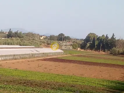 Κτίριο 715τ.μ. προς πώληση φωτογραφία 27