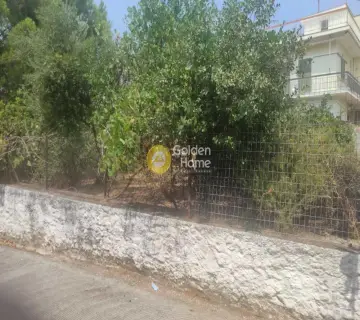 Residential 450m<sup>2</sup> for sale photo 3