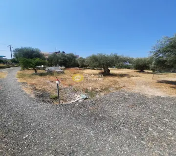 Residential 941m<sup>2</sup> for sale photo 3