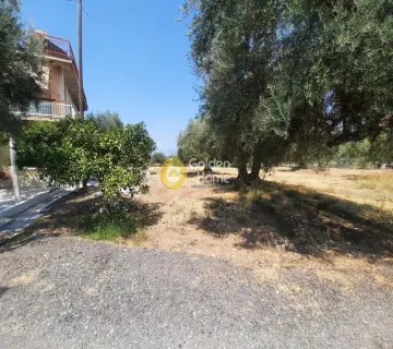 Residential 941m<sup>2</sup> for sale photo 8