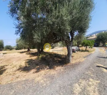 Residential 941m<sup>2</sup> for sale photo 9