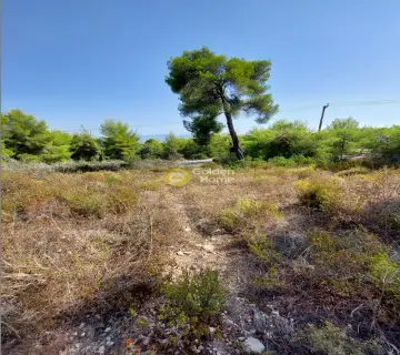 Οικιστικό 1000τ.μ. προς πώληση φωτογραφία 4