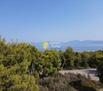 Οικιστικό 1000τ.μ. προς πώληση φωτογραφία 2