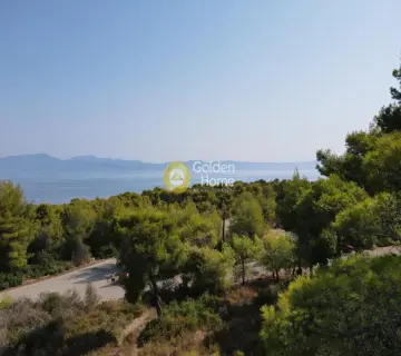 Οικιστικό 1000τ.μ. προς πώληση φωτογραφία 1