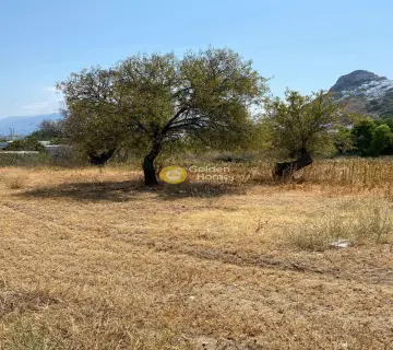 Οικιστικό 1500τ.μ. προς πώληση φωτογραφία 2766223