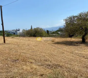 Οικιστικό 1500τ.μ. προς πώληση φωτογραφία 2766226