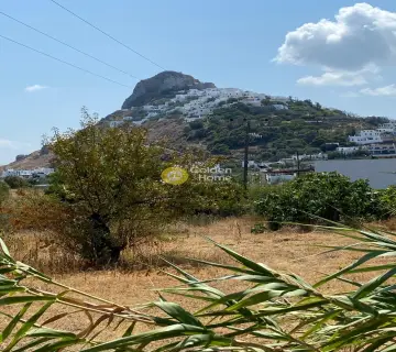 Οικιστικό 1500τ.μ. προς πώληση φωτογραφία 2766233