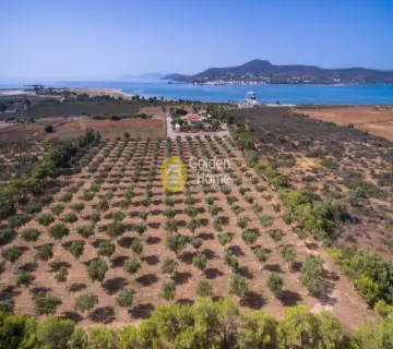 Golden Home Property Image