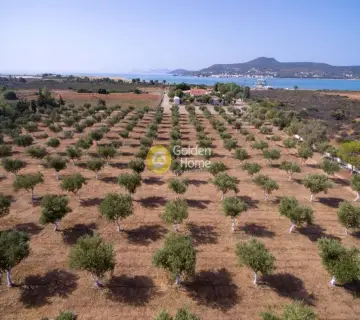 Professional Plot 17000m<sup>2</sup> for sale photo 2761162