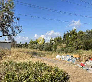 Επαγγελ. Οικόπεδο 4132τ.μ. προς πώληση φωτογραφία 2