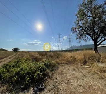 Επαγγελ. Οικόπεδο 4132τ.μ. προς πώληση φωτογραφία 5