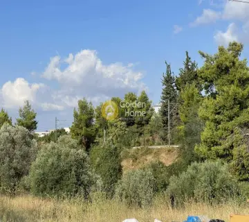 Επαγγελ. Οικόπεδο 4132τ.μ. προς πώληση φωτογραφία 6
