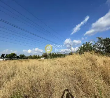 Επαγγελ. Οικόπεδο 4132τ.μ. προς πώληση φωτογραφία 7