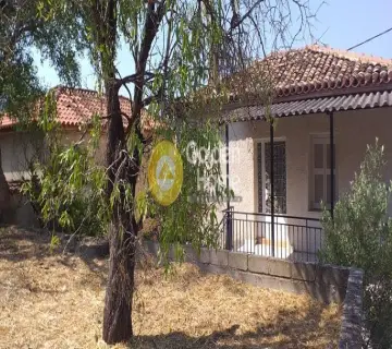 Residential 636m<sup>2</sup> for sale photo 15