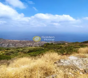Οικιστικό 3360τ.μ. προς πώληση φωτογραφία 2