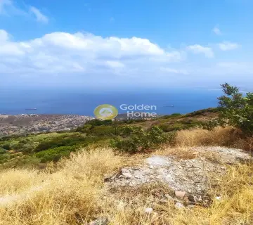 Οικιστικό 3360τ.μ. προς πώληση φωτογραφία 3