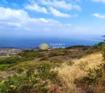 Οικιστικό 3360τ.μ. προς πώληση φωτογραφία 4