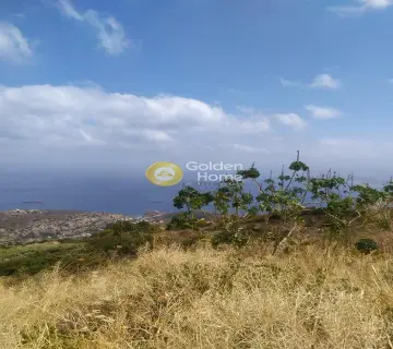 Οικιστικό 3360τ.μ. προς πώληση φωτογραφία 8